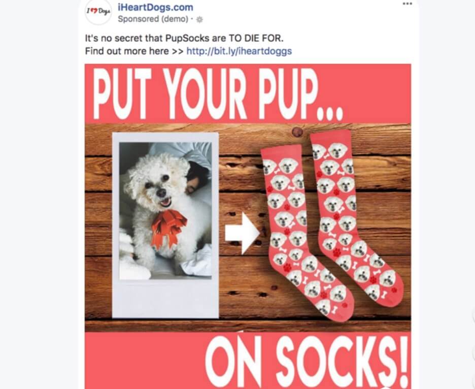 Printed animal images on socks