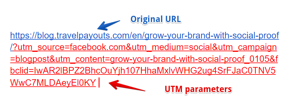 URL with UTM parameters