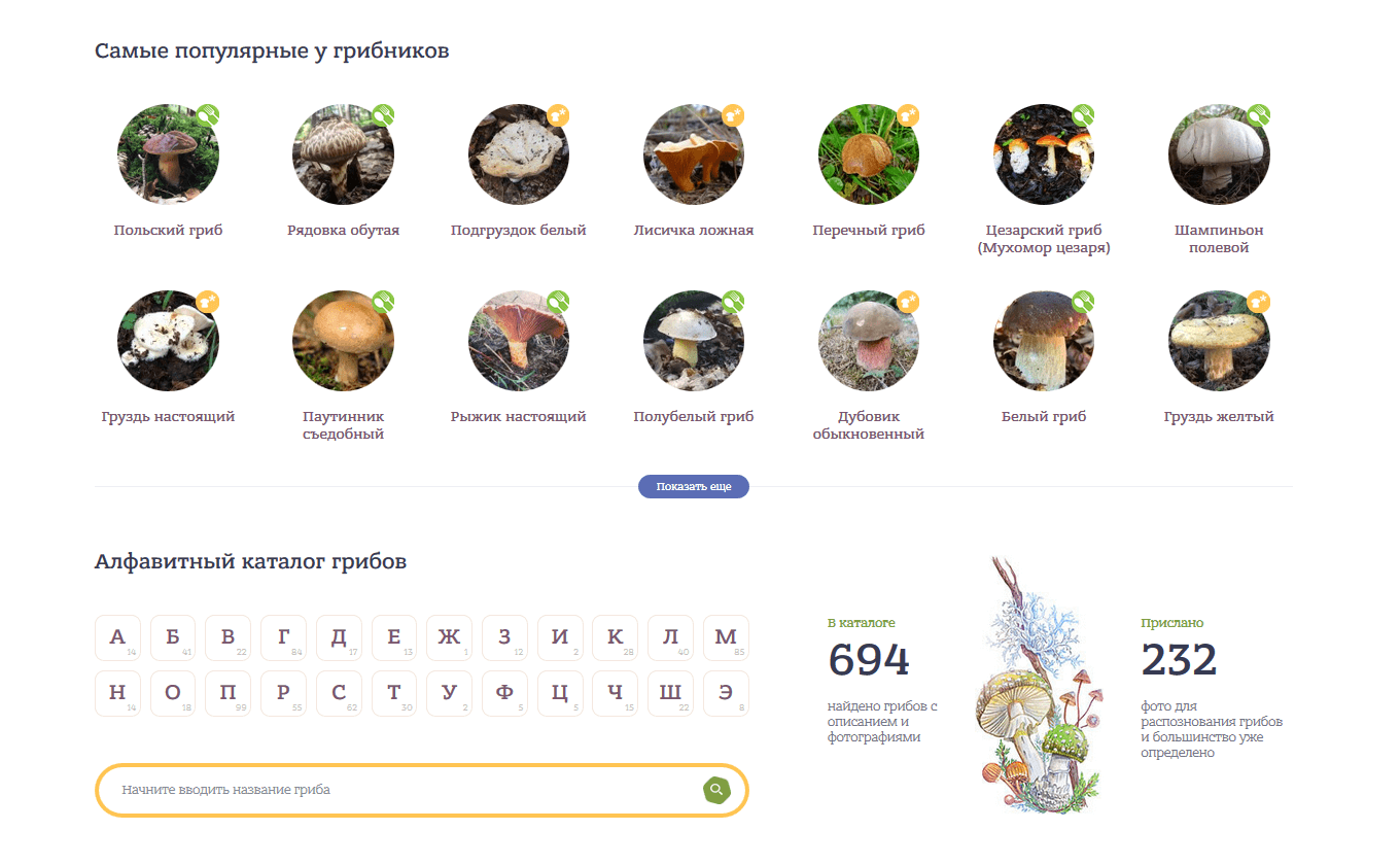 Каталог грибов на сайте Gribowiki